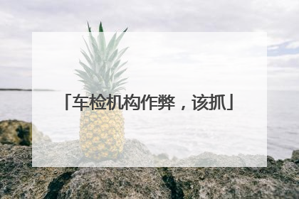 车检机构作弊，该抓