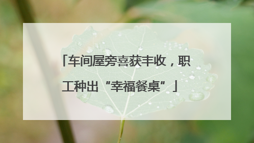 车间屋旁喜获丰收，职工种出“幸福餐桌”