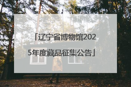 辽宁省博物馆2025年度藏品征集公告
