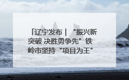 辽宁发布｜“振兴新突破 决胜勇争先”铁岭市坚持“项目为王”推进经济高质量发展