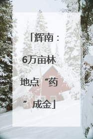 辉南：6万亩林地点“药”成金
