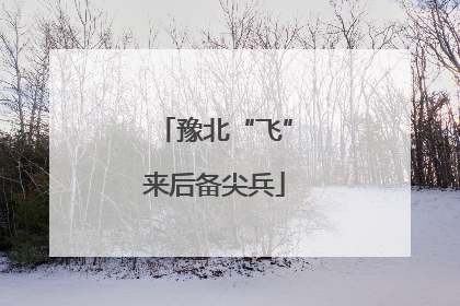 豫北“飞”来后备尖兵