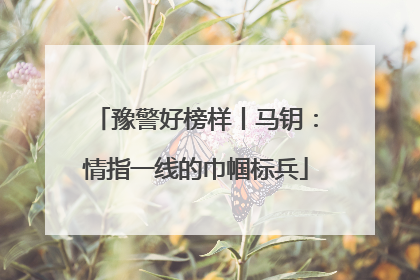 豫警好榜样丨马钥：情指一线的巾帼标兵
