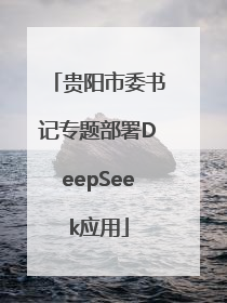 贵阳市委书记专题部署DeepSeek应用