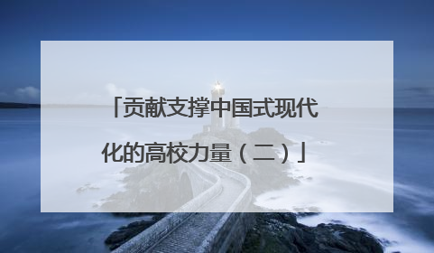贡献支撑中国式现代化的高校力量（二）