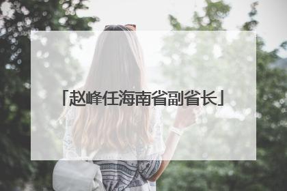 赵峰任海南省副省长