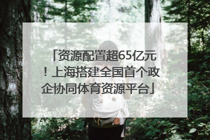 资源配置超65亿元！上海搭建全国首个政企协同体育资源平台