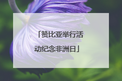 赞比亚举行活动纪念非洲日