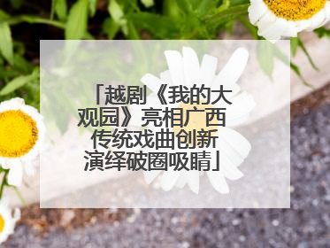 越剧《我的大观园》亮相广西 传统戏曲创新演绎破圈吸睛