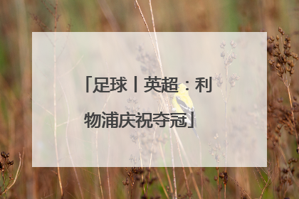 足球丨英超：利物浦庆祝夺冠