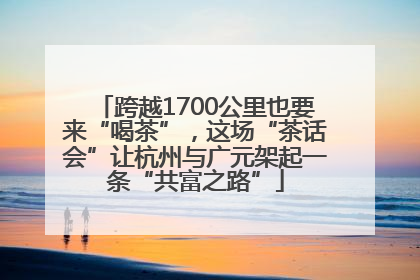 跨越1700公里也要来“喝茶”，这场“茶话会”让杭州与广元架起一条“共富之路”