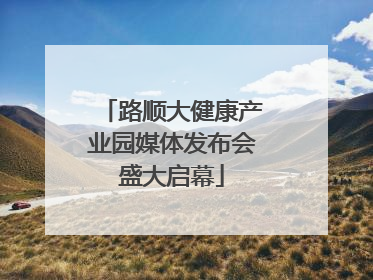 路顺大健康产业园媒体发布会盛大启幕