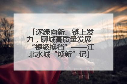 逐绿向新、链上发力，聊城高质量发展“提级换挡”——江北水城“焕新”记