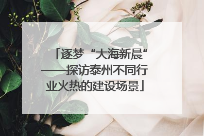 逐梦“大海新晨”——探访泰州不同行业火热的建设场景