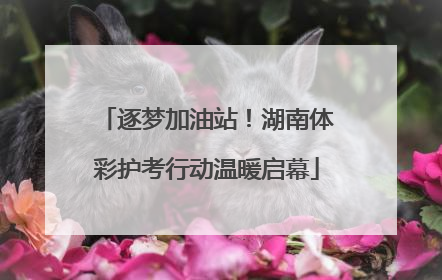 逐梦加油站！湖南体彩护考行动温暖启幕