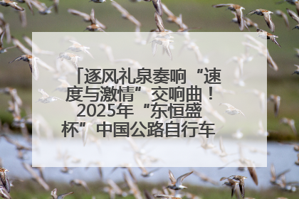 逐风礼泉奏响“速度与激情”交响曲！2025年“东恒盛杯”中国公路自行车联赛第五站（陕西·礼泉站）正式开赛