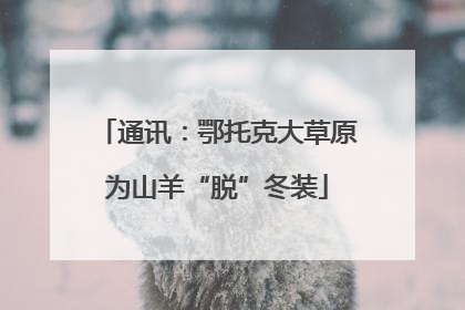 通讯：鄂托克大草原为山羊“脱”冬装