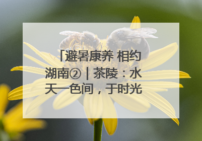 避暑康养 相约湖南②｜茶陵：水天一色间，于时光里拾取诗意