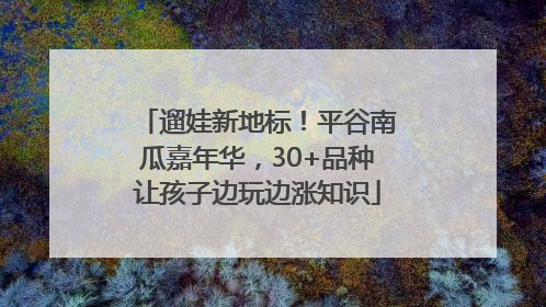 遛娃新地标！平谷南瓜嘉年华，30+品种让孩子边玩边涨知识