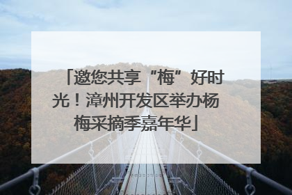邀您共享“梅”好时光！漳州开发区举办杨梅采摘季嘉年华