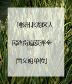 郴州北湖区人民路街道获评全国文明单位