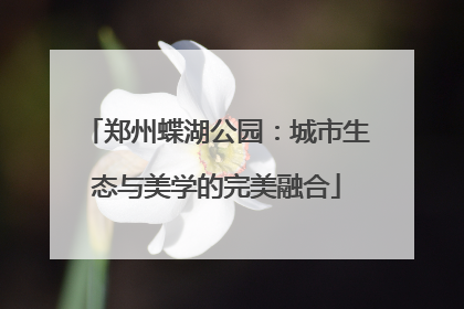 郑州蝶湖公园：城市生态与美学的完美融合