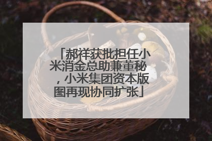 郝祥获批担任小米消金总助兼董秘，小米集团资本版图再现协同扩张