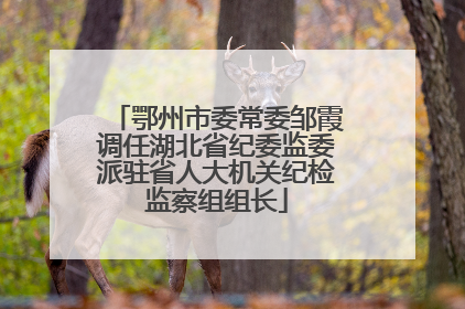 鄂州市委常委邹霞调任湖北省纪委监委派驻省人大机关纪检监察组组长