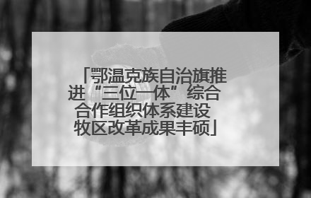鄂温克族自治旗推进“三位一体”综合合作组织体系建设 牧区改革成果丰硕