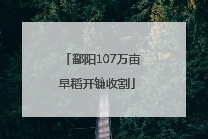 鄱阳107万亩早稻开镰收割