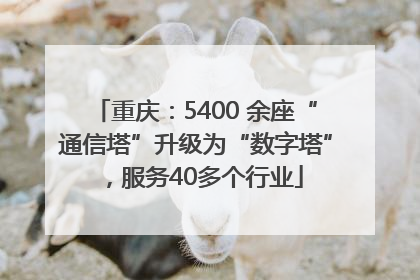 重庆：5400 余座“通信塔”升级为“数字塔”，服务40多个行业