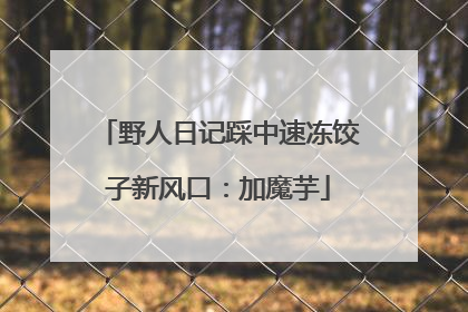 野人日记踩中速冻饺子新风口：加魔芋