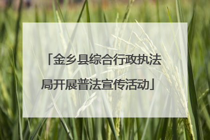 金乡县综合行政执法局开展普法宣传活动