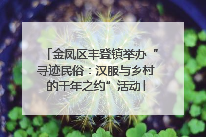 金凤区丰登镇举办“寻迹民俗：汉服与乡村的千年之约”活动