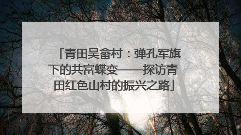 青田吴畲村：弹孔军旗下的共富蝶变——探访青田红色山村的振兴之路