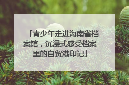青少年走进海南省档案馆，沉浸式感受档案里的自贸港印记