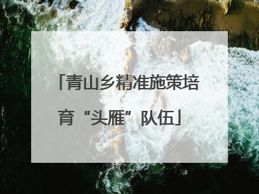 青山乡精准施策培育“头雁”队伍