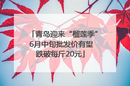 青岛迎来“榴莲季” 6月中旬批发价有望跌破每斤20元