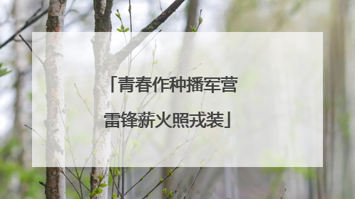 青春作种播军营 雷锋薪火照戎装