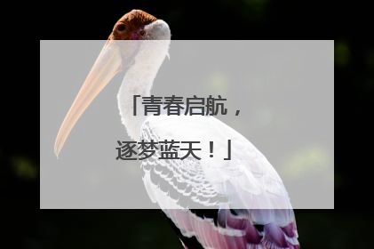 青春启航，逐梦蓝天！