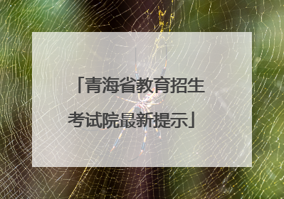 青海省教育招生考试院最新提示
