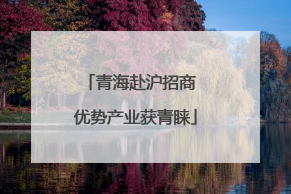 青海赴沪招商 优势产业获青睐
