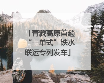 青藏高原首趟“一单式”铁水联运专列发车