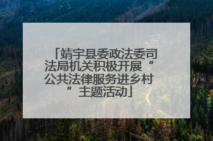 靖宇县委政法委司法局机关积极开展“公共法律服务进乡村”主题活动