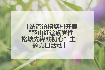 靖港镇格塘村开展“韶山红途砺党性 格塘先锋践初心”主题党日活动