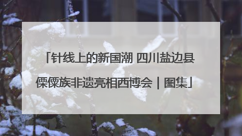 针线上的新国潮 四川盐边县傈僳族非遗亮相西博会｜图集