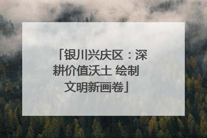 银川兴庆区：深耕价值沃土 绘制文明新画卷