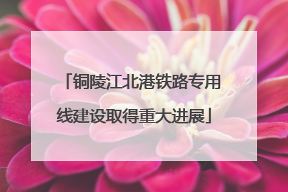 铜陵江北港铁路专用线建设取得重大进展