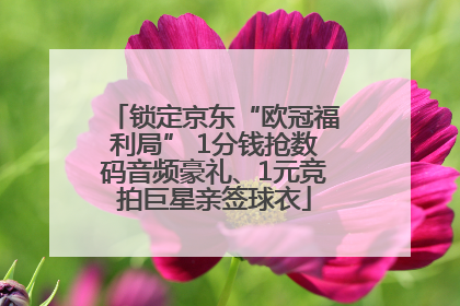 锁定京东“欧冠福利局” 1分钱抢数码音频豪礼、1元竞拍巨星亲签球衣