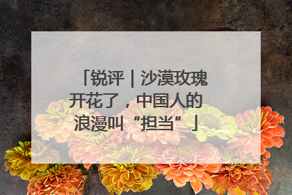 锐评｜沙漠玫瑰开花了，中国人的浪漫叫“担当”
